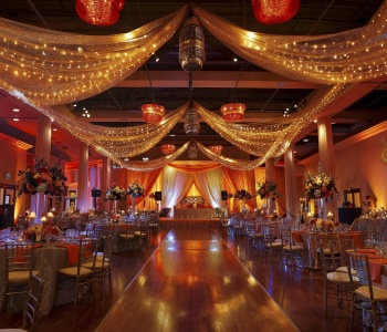 wedding & reception